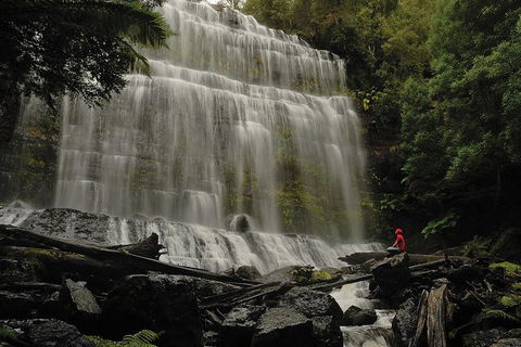 Guided Shore Excursion: Mt Field National Park Salmon Ponds Bonorong Wildlife - Accommodation Brunswick Heads 0