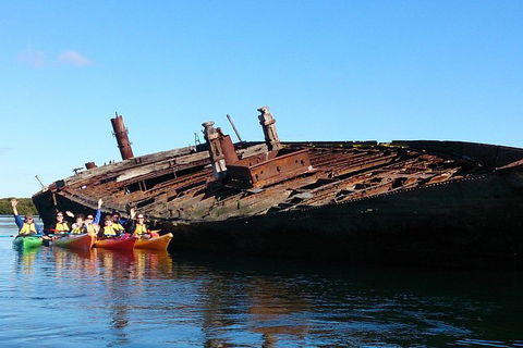 Adelaide Dolphin Sanctuary And Ships Graveyard Kayak Tour - Accommodation Brunswick Heads 1