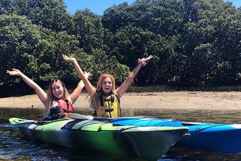 Adelaide Dolphin Sanctuary And Ships Graveyard Kayak Tour - Accommodation Brunswick Heads 4