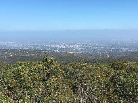 Adelaide Hills And Hahndorf Tour From Adelaide With Wine And Cheese Tasting - Accommodation Brunswick Heads 8