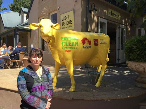 Adelaide Hills And Hahndorf Tour From Adelaide With Wine And Cheese Tasting - Accommodation Brunswick Heads 2