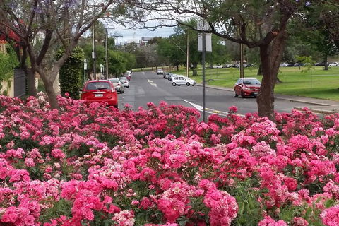 Adelaide Walking Tour: Hills, Squares And Parklands - Accommodation Brunswick Heads 6