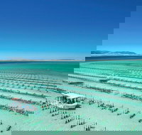 Coffin Bay Private Day Tour from Port Lincoln - A Taste of Coffin Bay - Accommodation Brunswick Heads