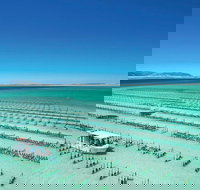 Coffin Bay Day Tour - A Taste of Coffin Bay - Accommodation Brunswick Heads