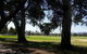 Adelaide Walking Tour: East End Escapade - thumb 6
