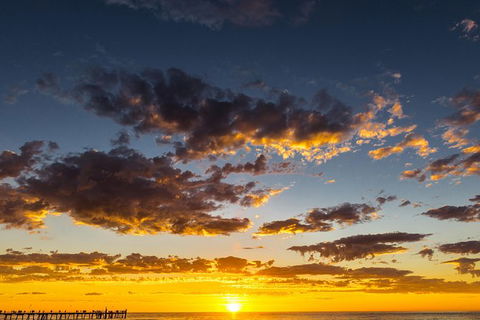 Adelaide Ocean Safari - Twilight Safari - Accommodation Brunswick Heads 1