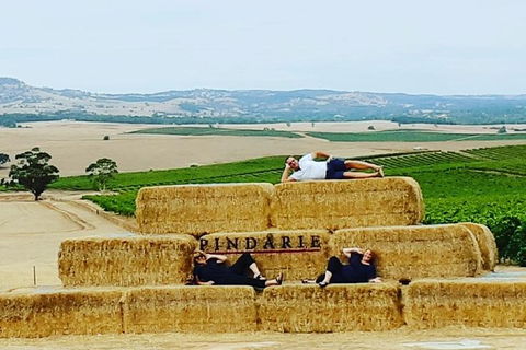 Barossa Wine Tasting Shared Tours - Accommodation Brunswick Heads 6
