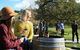 Sidewood Estate Wine Tasting - thumb 1