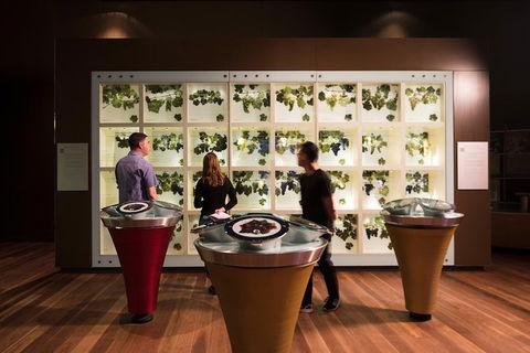 Australian Wine Discovery Tour Ticket - Accommodation Brunswick Heads 5