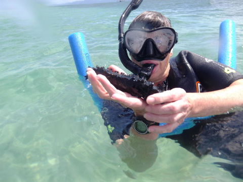 Great Barrier Reef Sailing And Snorkeling Cruise From Port Douglas - Accommodation Brunswick Heads 4