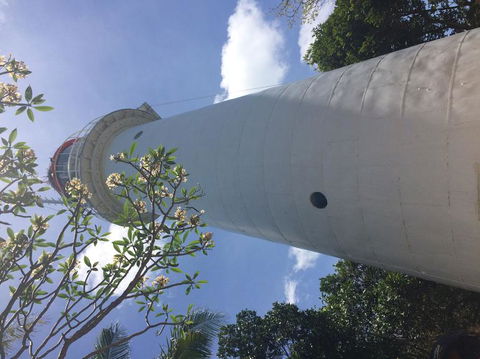 Great Barrier Reef Sailing And Snorkeling Cruise From Port Douglas - Accommodation Brunswick Heads 2