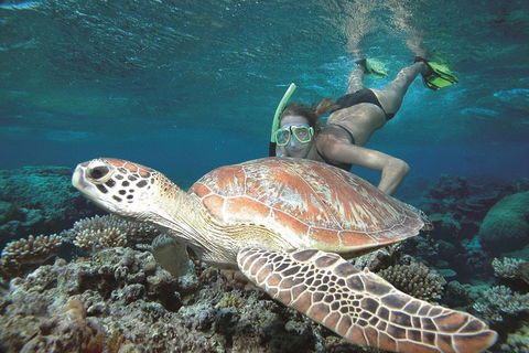 Great Barrier Reef Sailing And Snorkeling Cruise From Port Douglas - Accommodation Brunswick Heads 0