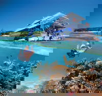 3-Day Southern Great Barrier Reef Tour Including Lady Musgrave Island - Accommodation Brunswick Heads