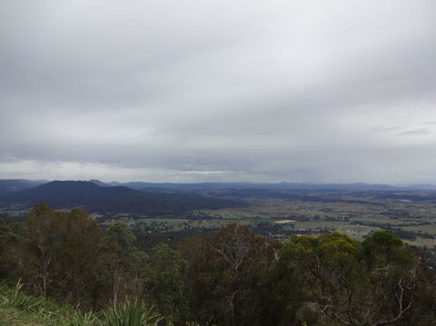 Springbrook AndTamborine Rainforest Tour Incl Natural Bridge And Glow Worm Cave - Accommodation Brunswick Heads 7
