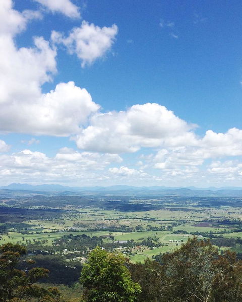 Springbrook AndTamborine Rainforest Tour Incl Natural Bridge And Glow Worm Cave - Accommodation Brunswick Heads 5