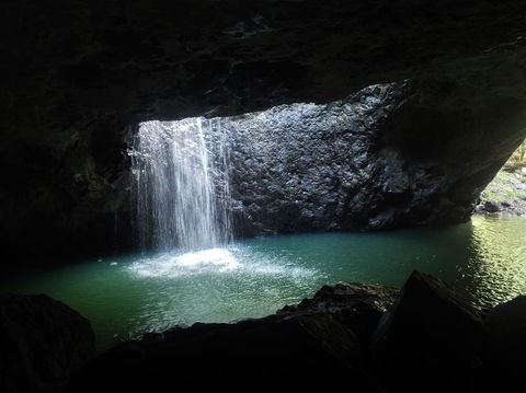 Springbrook AndTamborine Rainforest Tour Incl Natural Bridge And Glow Worm Cave - Accommodation Brunswick Heads 2