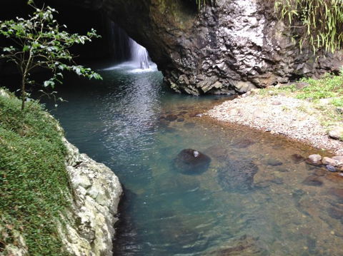 Springbrook AndTamborine Rainforest Tour Incl Natural Bridge And Glow Worm Cave - Accommodation Brunswick Heads 6