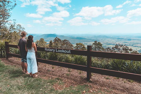 Springbrook AndTamborine Rainforest Tour Incl Natural Bridge And Glow Worm Cave - Accommodation Brunswick Heads 13