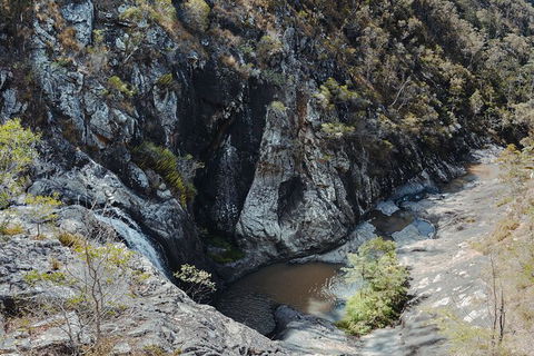 Springbrook AndTamborine Rainforest Tour Incl Natural Bridge And Glow Worm Cave - Accommodation Brunswick Heads 15