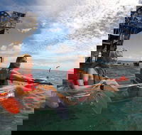 Moreton Island Day Trip Kayak Snorkel  Sandboard frm Brisbane or Gold Coast - Accommodation Brunswick Heads