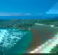 Sunshine Coast Hinterland and Noosa Day Trip from Brisbane Including Eumundi Markets and Ginger Factory - Accommodation Brunswick Heads