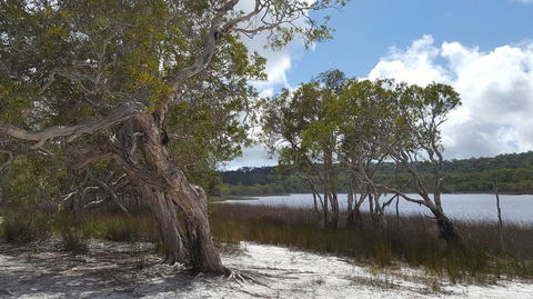 North Stradbroke Island Day Trip From Brisbane - Accommodation Brunswick Heads 14