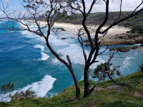 North Stradbroke Island Day Trip From Brisbane - Accommodation Brunswick Heads 5