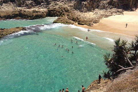 North Stradbroke Island Day Trip From Brisbane - Accommodation Brunswick Heads 1