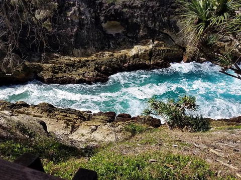 North Stradbroke Island Day Trip From Brisbane - Accommodation Brunswick Heads 7