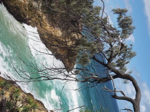 North Stradbroke Island Day Trip From Brisbane - Accommodation Brunswick Heads 16