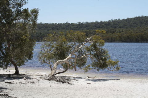 North Stradbroke Island Day Trip From Brisbane - Accommodation Brunswick Heads 24