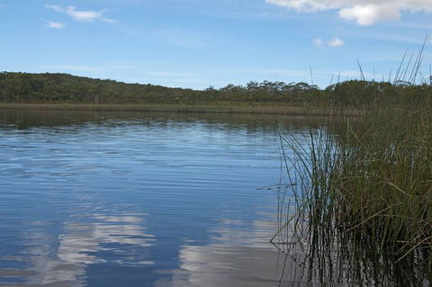 North Stradbroke Island Day Trip From Brisbane - Accommodation Brunswick Heads 22