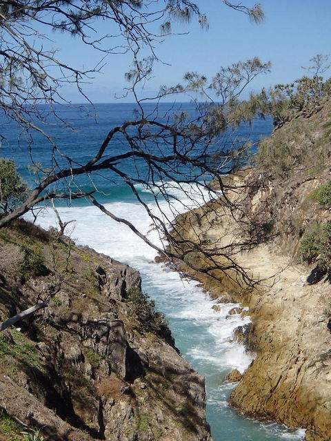 North Stradbroke Island Day Trip From Brisbane - Accommodation Brunswick Heads 25