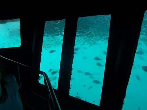 Great Barrier Reef Day Cruise To Reefworld - Accommodation Brunswick Heads 12