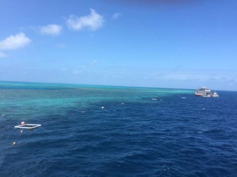 Great Barrier Reef Day Cruise To Reefworld - Accommodation Brunswick Heads 8