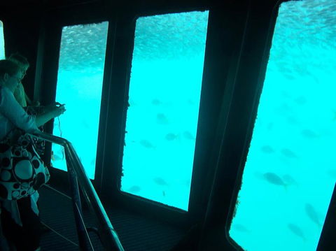 Great Barrier Reef Day Cruise To Reefworld - Accommodation Brunswick Heads 11