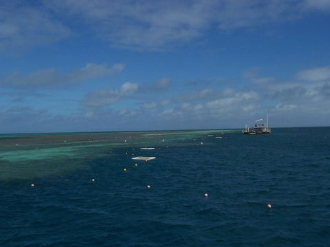 Great Barrier Reef Day Cruise To Reefworld - Accommodation Brunswick Heads 15