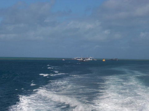 Great Barrier Reef Day Cruise To Reefworld - Accommodation Brunswick Heads 22