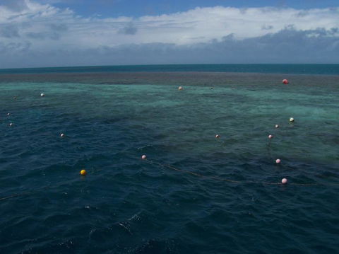 Great Barrier Reef Day Cruise To Reefworld - Accommodation Brunswick Heads 16