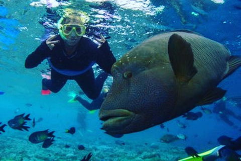 Great Barrier Reef Day Cruise To Reefworld - Accommodation Brunswick Heads 5