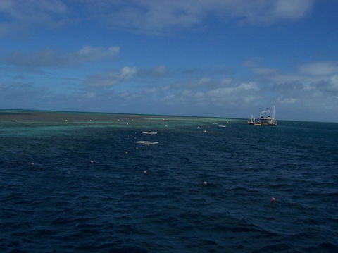 Great Barrier Reef Day Cruise To Reefworld - Accommodation Brunswick Heads 13