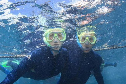 Great Barrier Reef Day Cruise To Reefworld - Accommodation Brunswick Heads 3