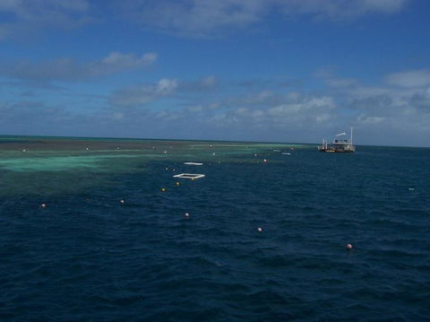 Great Barrier Reef Day Cruise To Reefworld - Accommodation Brunswick Heads 14