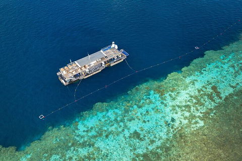 Great Barrier Reef Day Cruise To Reefworld - Accommodation Brunswick Heads 24