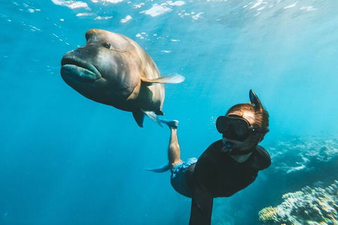 Great Barrier Reef Day Cruise To Reefworld - Accommodation Brunswick Heads 25