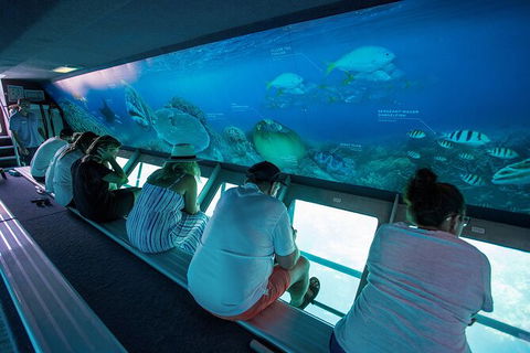 Great Barrier Reef Day Cruise To Reefworld - Accommodation Brunswick Heads 28