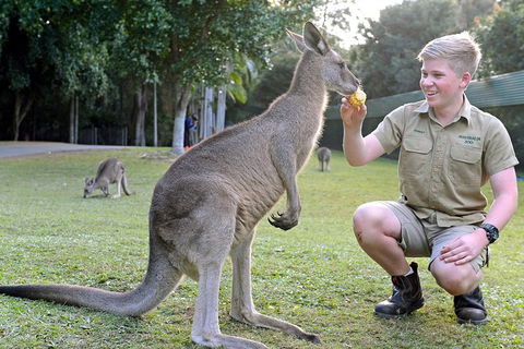 Small-Group Australia Zoo Day Trip From Brisbane - Accommodation Brunswick Heads 6