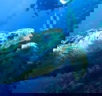 Scuba Dive the S.S. Yongala Wreck on the Great Barrier Reef. - Accommodation Brunswick Heads