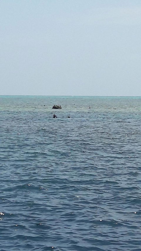 Great Barrier Reef Cruise From Townsville Or Magnetic Island - Accommodation Brunswick Heads 2