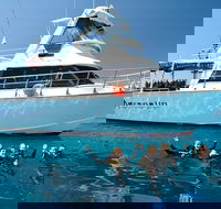 Great Barrier Reef Cruise from Townsville or Magnetic Island - Accommodation Brunswick Heads